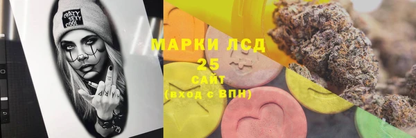 PSILOCYBIN Алзамай
