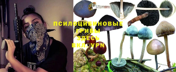 герыч Алексеевка