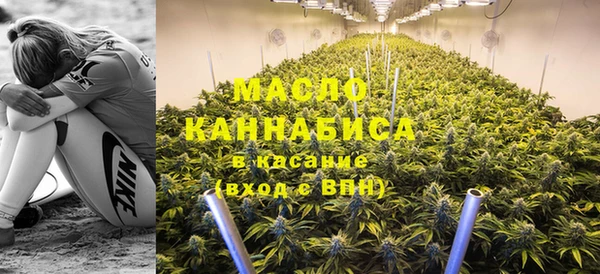 PSILOCYBIN Алзамай