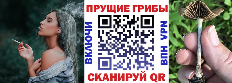 Галлюциногенные грибы MAGIC MUSHROOMS  мега онион  Рубцовск 