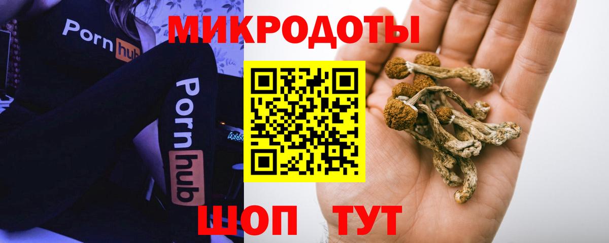 Рубцовск  Галлюциногенные грибы Psilocybe  Вход с VPN 